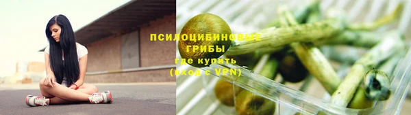 гидропоника Алзамай