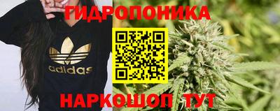 ПСИЛОЦИБИНОВЫЕ ГРИБЫ Бердск