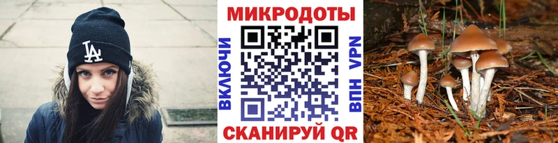 blacksprut онион  Невинномысск  Псилоцибиновые грибы ЛСД 