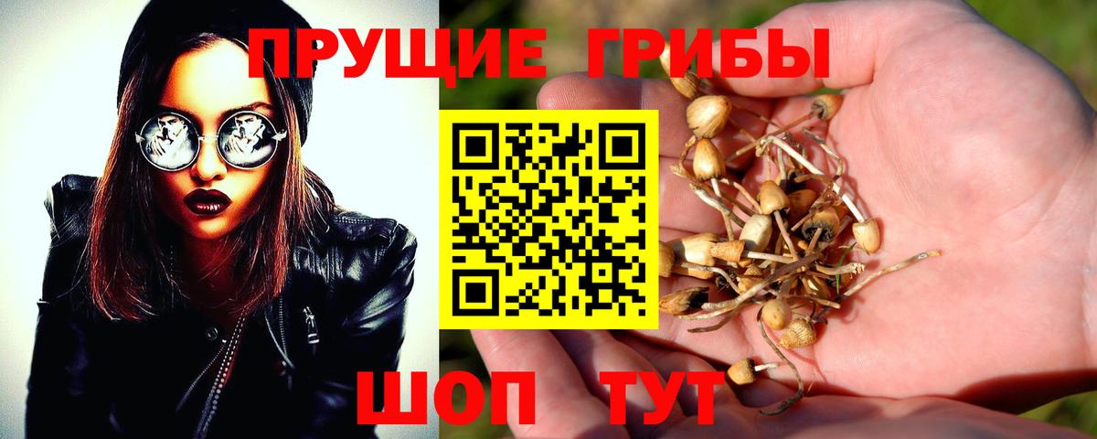 Невинномысск  Галлюциногенные грибы прущие грибы  Вход с VPN 