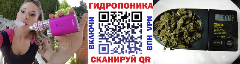 цена Невинномысск OMG вход Каннабис тримм